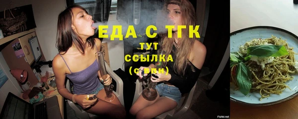 индика Мегион