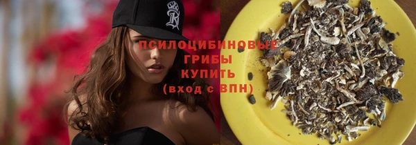 бошки Медвежьегорск