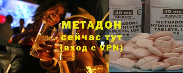 индика Мегион