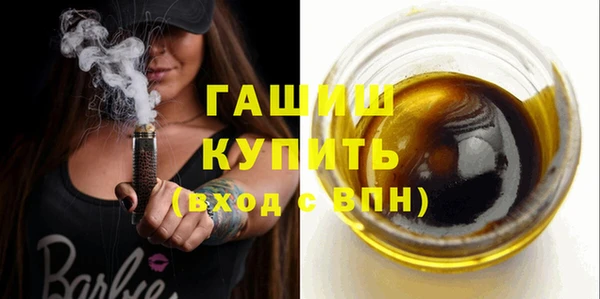 индика Мегион
