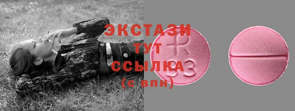 индика Мегион