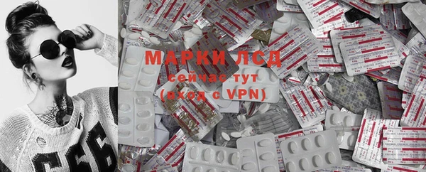 индика Мегион