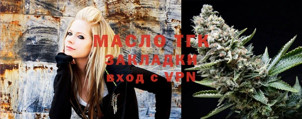 индика Мегион