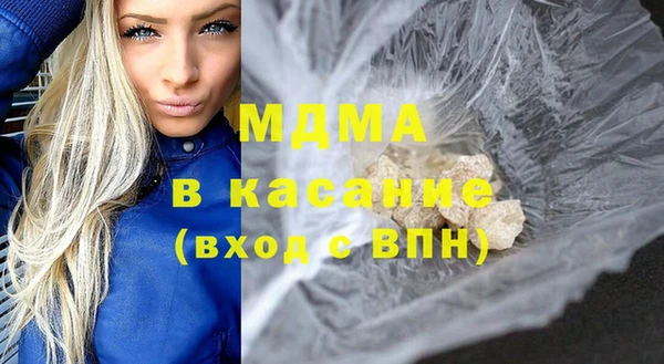 индика Мегион
