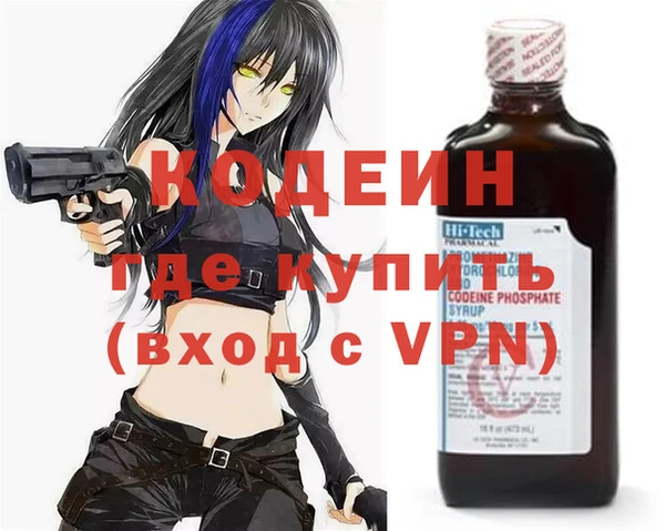 индика Мегион