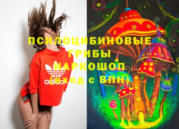 бошки Медвежьегорск