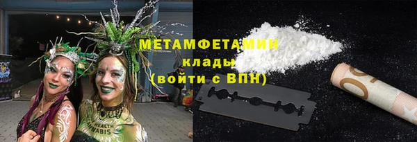 индика Мегион