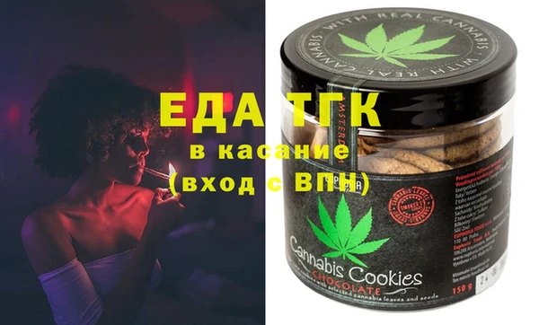 индика Мегион