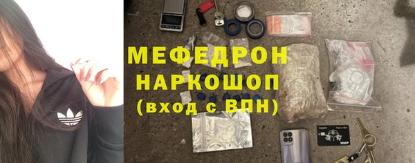 индика Мегион