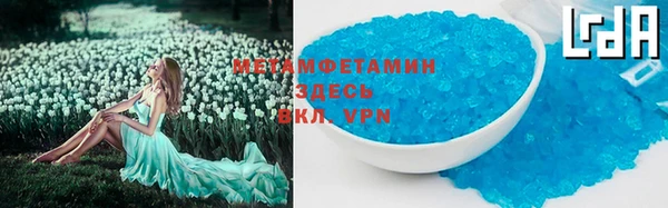 индика Мегион